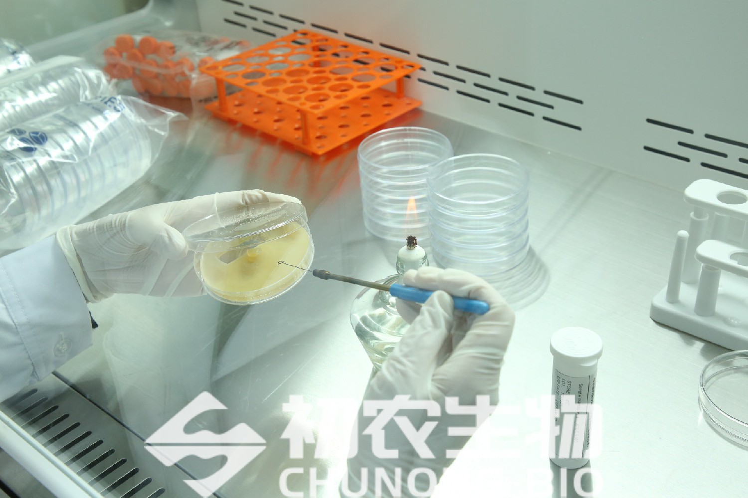 微生物檢驗的基本操作技術-微生物的接種、分離