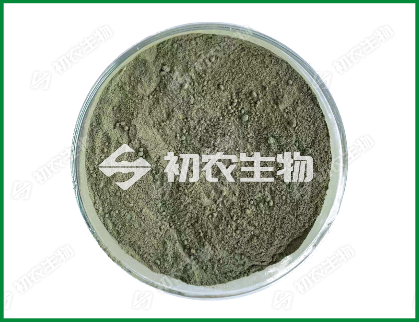 綠色木霉（木霉類）