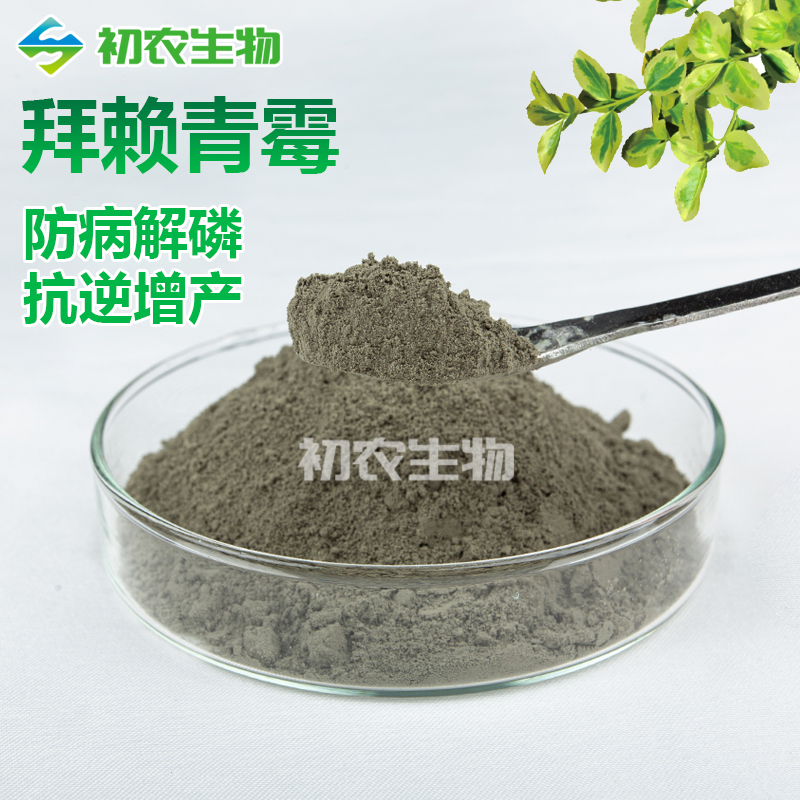 拜賴青霉（青霉類）