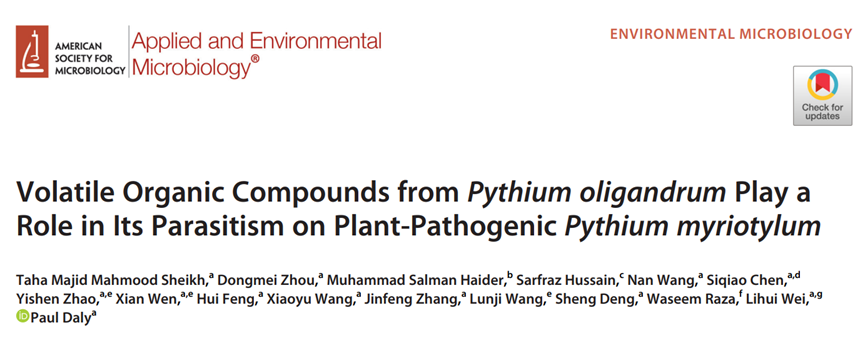 寡雄腐霉揮發(fā)性有機(jī)物協(xié)助其寄生植物病原菌