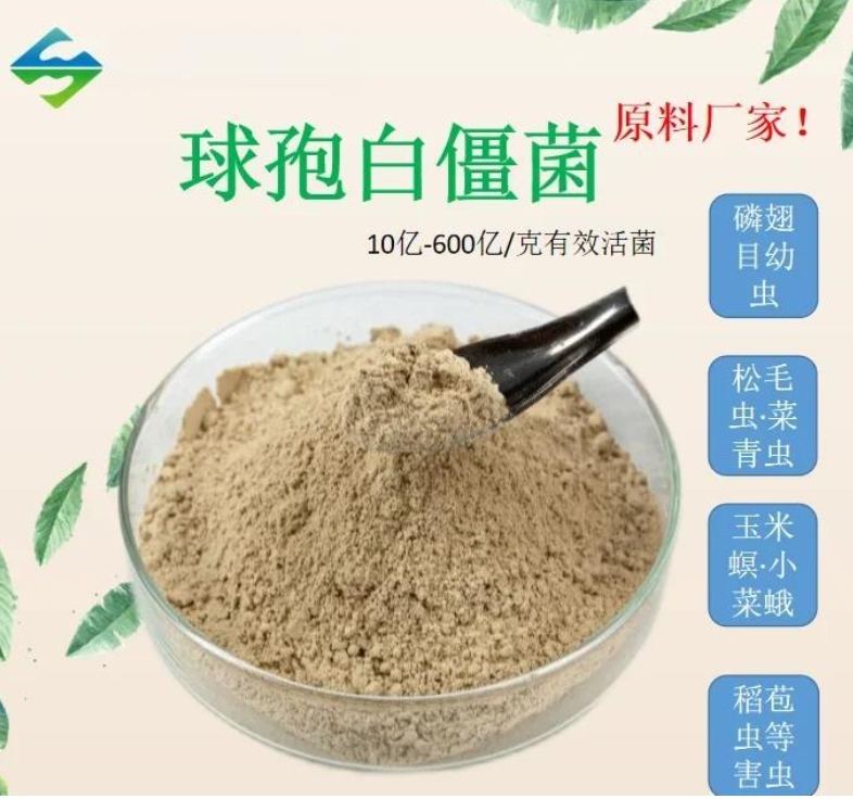 古法農(nóng)作體系升級(jí)實(shí)踐：微生物技術(shù)助力農(nóng)業(yè)文化遺產(chǎn)地生態(tài)轉(zhuǎn)型